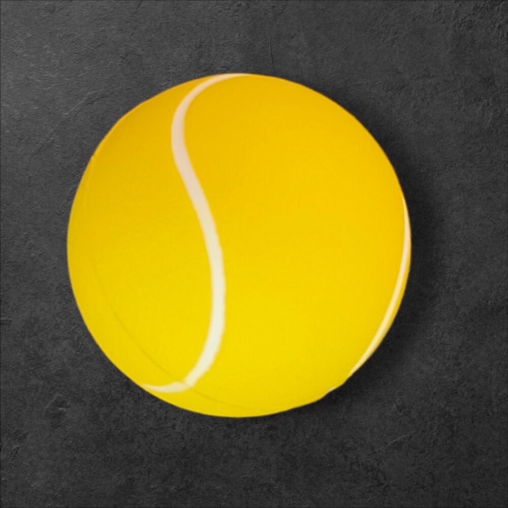 Nunbell Evcil Hayvan Oyun Topu Small