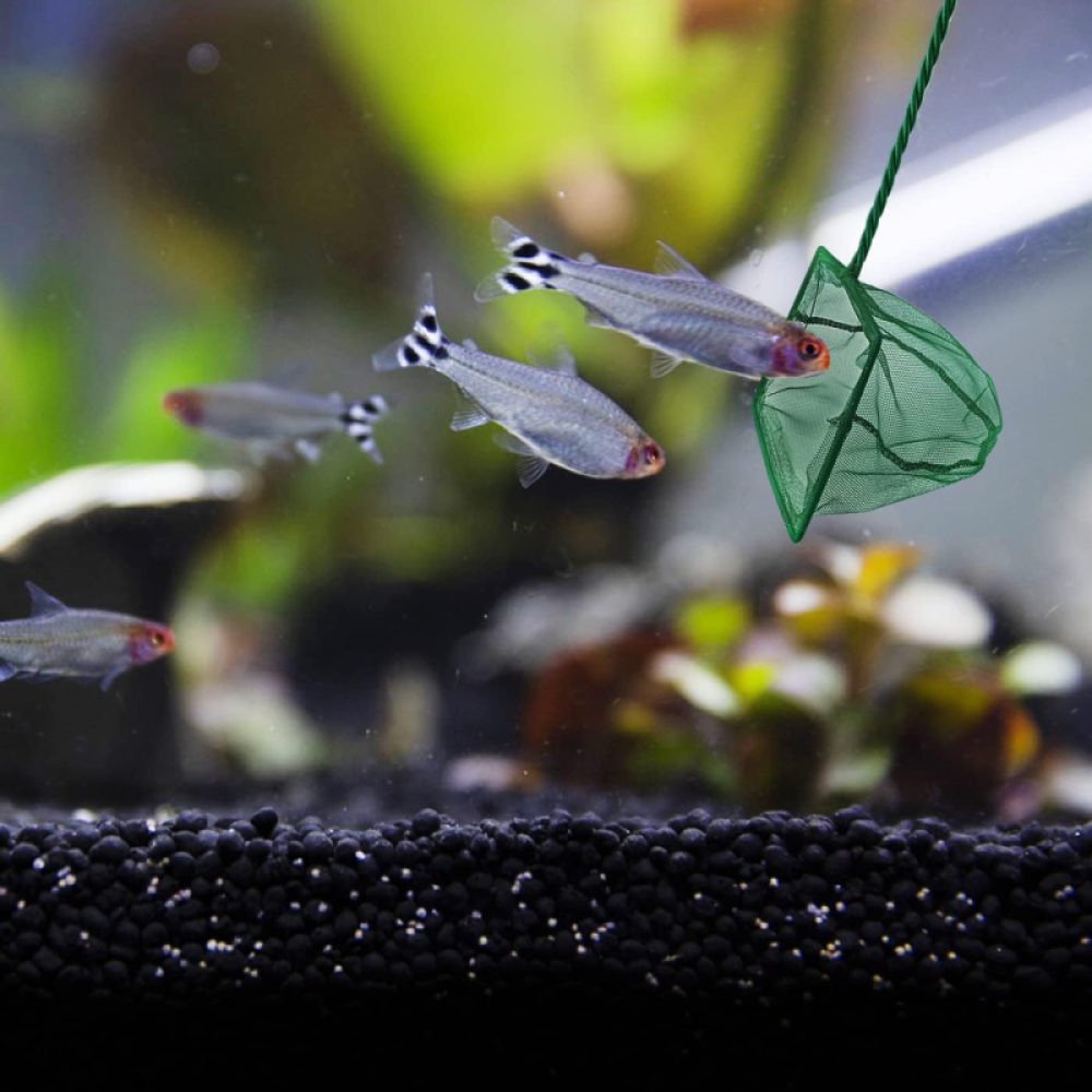 Akvaryum Balık Kepçesi 15 CM